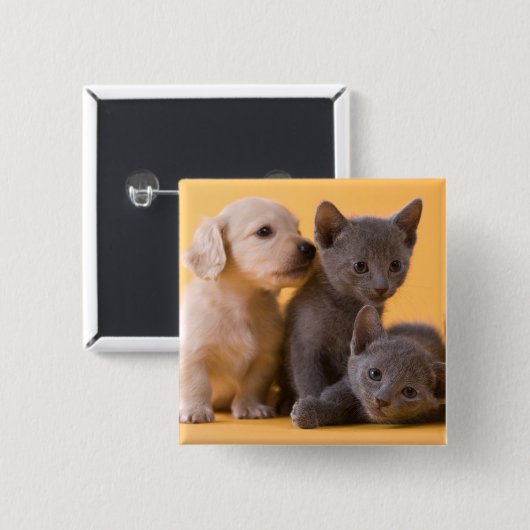 Russische blaue Kätzchen u. Dackel-Welpen Button (Vorne & Hinten)