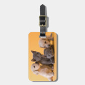 Russische blaue Kätzchen u. Dackel-Welpen Gepäckanhänger (Vorderseite vertikal)