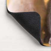 Russische blaue Kätzchen u. Dackel-Welpen Mousepad (Ecke)