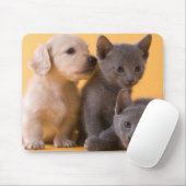 Russische blaue Kätzchen u. Dackel-Welpen Mousepad (Mit Mouse)