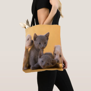 Russische blaue Kätzchen u. Dackel-Welpen Tasche