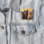 Russische blaue Kätzchen und Dackel-Welpen Button (Beispiel)