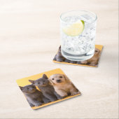 Russische blaue Kätzchen und Dackel-Welpen Rechteckiger Pappuntersetzer (Vor Ort)