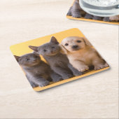 Russische blaue Kätzchen und Dackel-Welpen Rechteckiger Pappuntersetzer (angewinkelt)