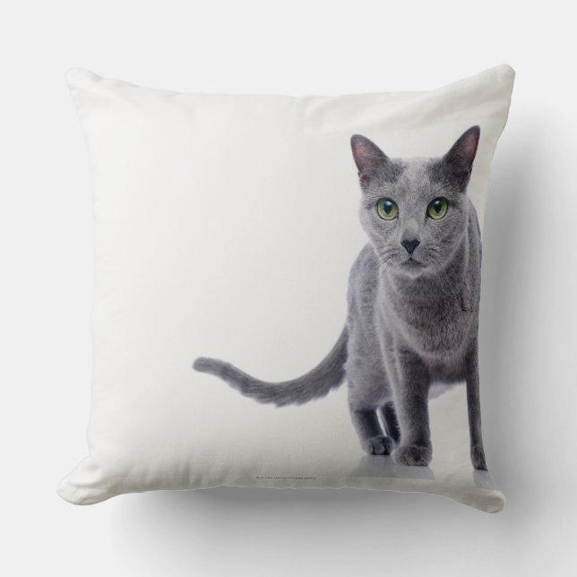 Russische blaue Katze Kissen (Vorderseite)