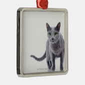 Russische blaue Katze Silbernes Ornament (Rechts)
