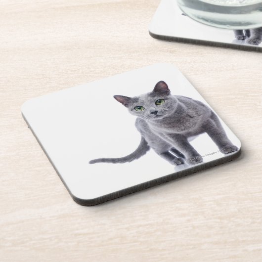 Russische blaue Katze Untersetzer (Linke Seite)