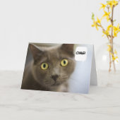 Russische blaue Katzen-Geburtstags-Karte Karte (Gelbe Blume)