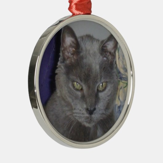 Russische blaue Katzen-Verzierung Silbernes Ornament (Rechts)