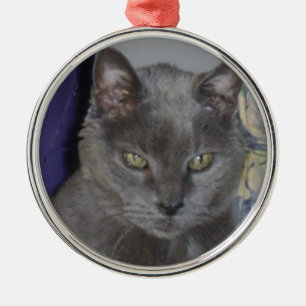 Russische blaue Katzen-Verzierung Silbernes Ornament