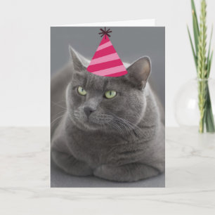 Russische Blue Cat Birthday Card Fokus für eine Sa Karte