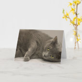 Russische Blue Cat Blank Note Card Karte (Gelbe Blume)