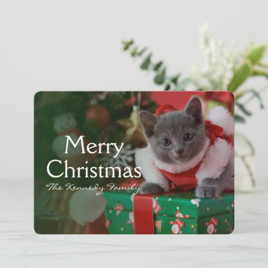 Russische Blue Kitten und Weihnachten (Stehend Vorderseite)