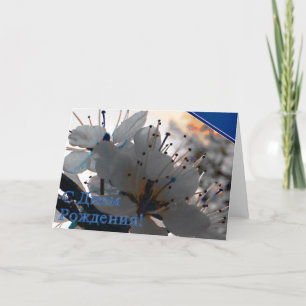 Russische Geburtstagskarte mit Kirsche Blume Karte