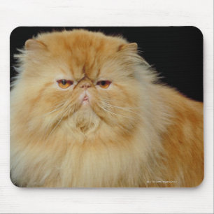 Russische lange Haar-Katze Mousepad