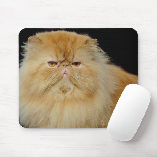 Russische Langhaarkatze Mousepad (Mit Mouse)