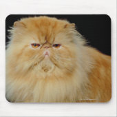 Russische Langhaarkatze Mousepad (Vorne)