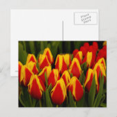 Russische Romantik Postkarte (Vorne/Hinten)