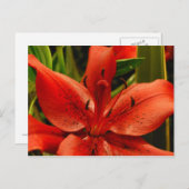 Russische Romantik Postkarte (Vorne/Hinten)