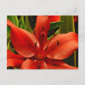 Russische Romantik Postkarte (Vorderseite)