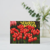 Russische Romantik Postkarte (Stehend Vorderseite)