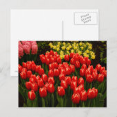 Russische Romantik Postkarte (Vorne/Hinten)