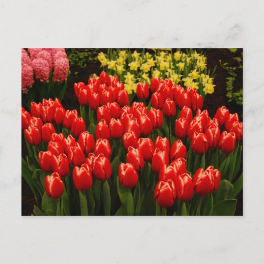 Russische Romantik Postkarte (Vorderseite)