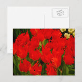 Russische Romantik Postkarte (Vorne/Hinten)