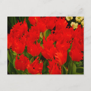 Russische Romantik Postkarte