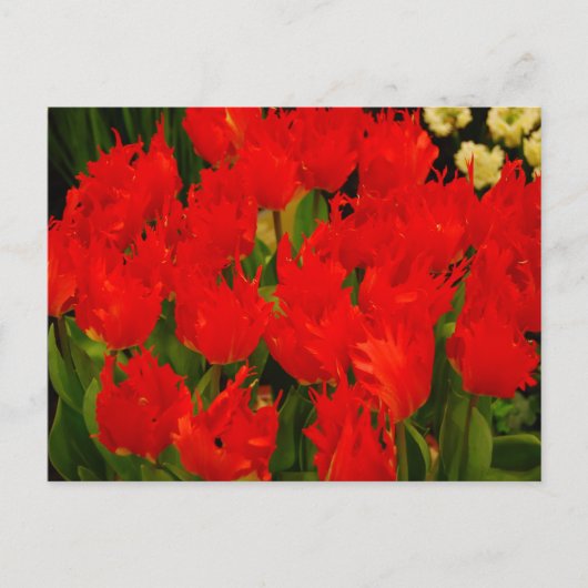 Russische Romantik Postkarte (Vorderseite)