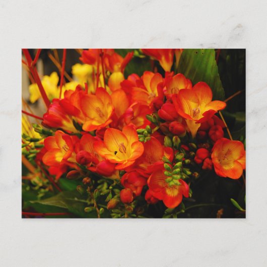 Russische Romantik Postkarte (Vorderseite)