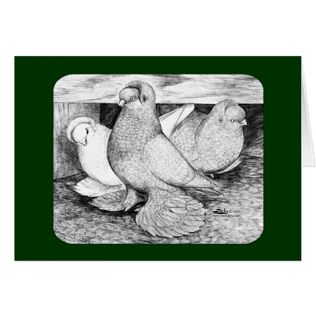 Russische Taumeltauben 1984 (Vorderseite (Horizontal))