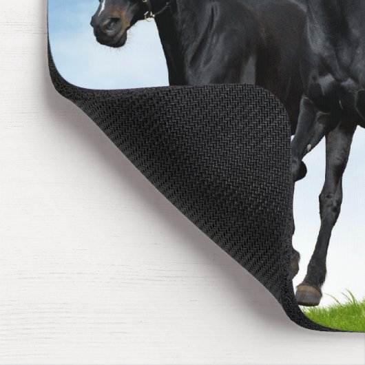 Russische Troika Mousepad (Ecke)