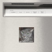 Russischer Blauer Grau Katze Attitude-Spaß Magnet (In Situ (Geschirrspüler))