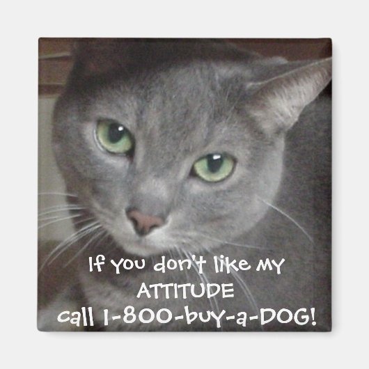 Russischer Blauer Grau Katze Attitude-Spaß Magnet (Vorne)