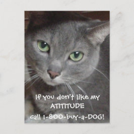 Russischer Blauer Grau Katze Attitude-Spaß Postkarte