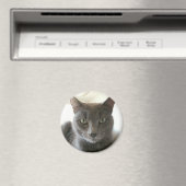 Russischer Blue Mix Magnet (In Situ (Geschirrspüler))