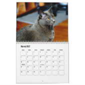 Russischer Kalender für die Blaue Katze (Mär 2027)