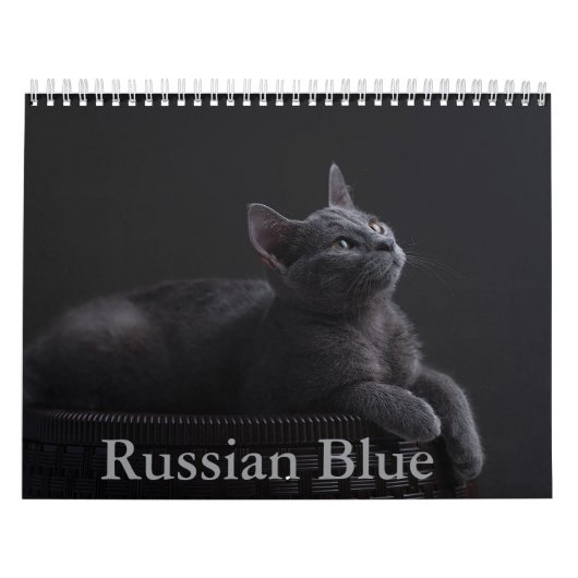 Russischer Kalender für die Blaue Katze (Titelbild)