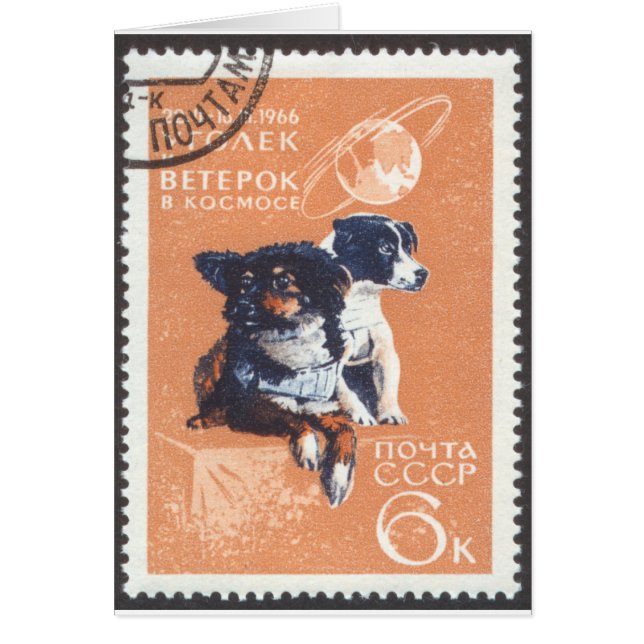 Russischer Raum verfolgt Kosmos 1966 110 (Vorne)
