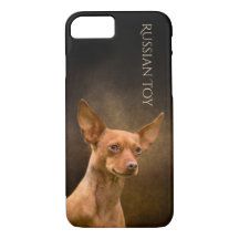 Russischer Spielzeug-Telefon-Kasten