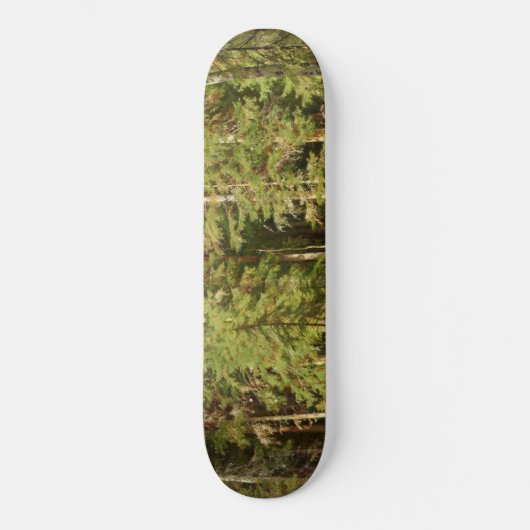 Russischer Wald (Rustikale Landschaft) (Grünwald) Skateboard (Vorderseite)