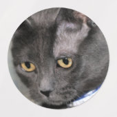 Russisches Blau Etiketten (Design 2)