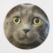 Russisches Blau Etiketten (Design 1)