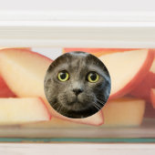 Russisches Blau Etiketten (Befestigt)