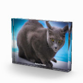 Russisches Blau Fotoblock (Rechts)