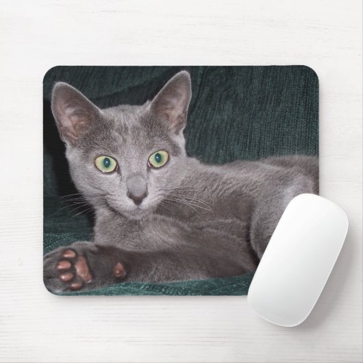 Russisches blaues Kätzchen Mousepad (Mit Mouse)