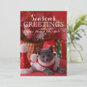 Russisches blaues Kätzchen und Weihnachten (Stehend Vorderseite)