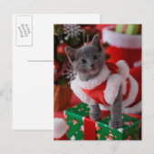 Russisches blaues Kätzchen und Weihnachten 2 (Vorne/Hinten)