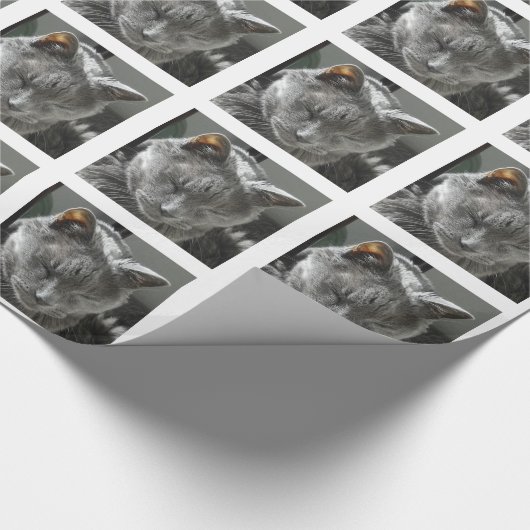 Russisches blaues Packpapier (Ecke)